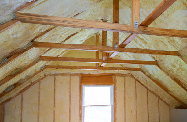 Best Spray Foam Insulation  in Wagner, SD